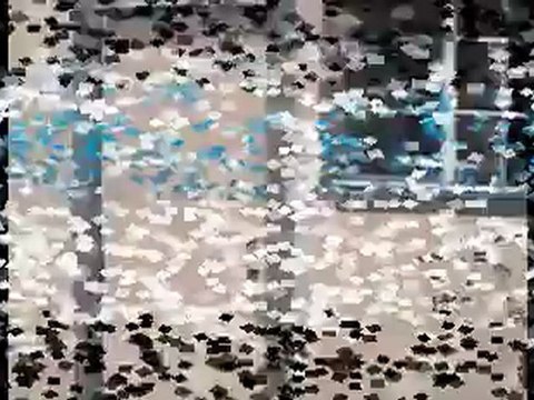 40ft Mobile Kitchen Trailer Rentals Units in Arizona 1 800 205 6106 - YouTube