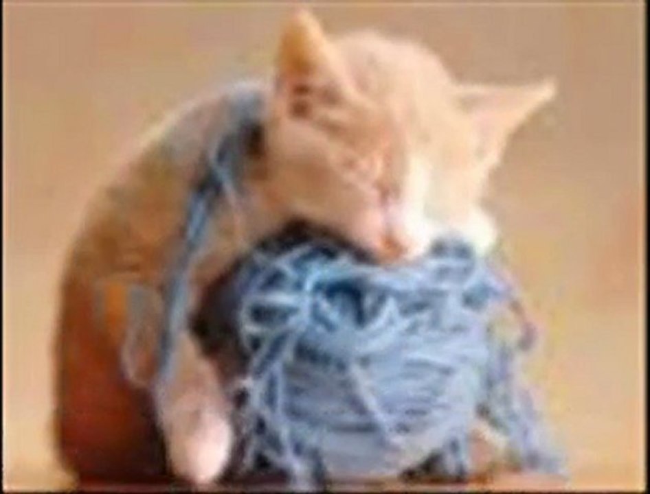 KEDİ ÖZLEDİ-CANDAN ERÇETİN (ARP)