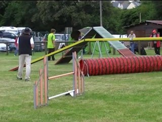 2012 Agility Djuna St Brandan