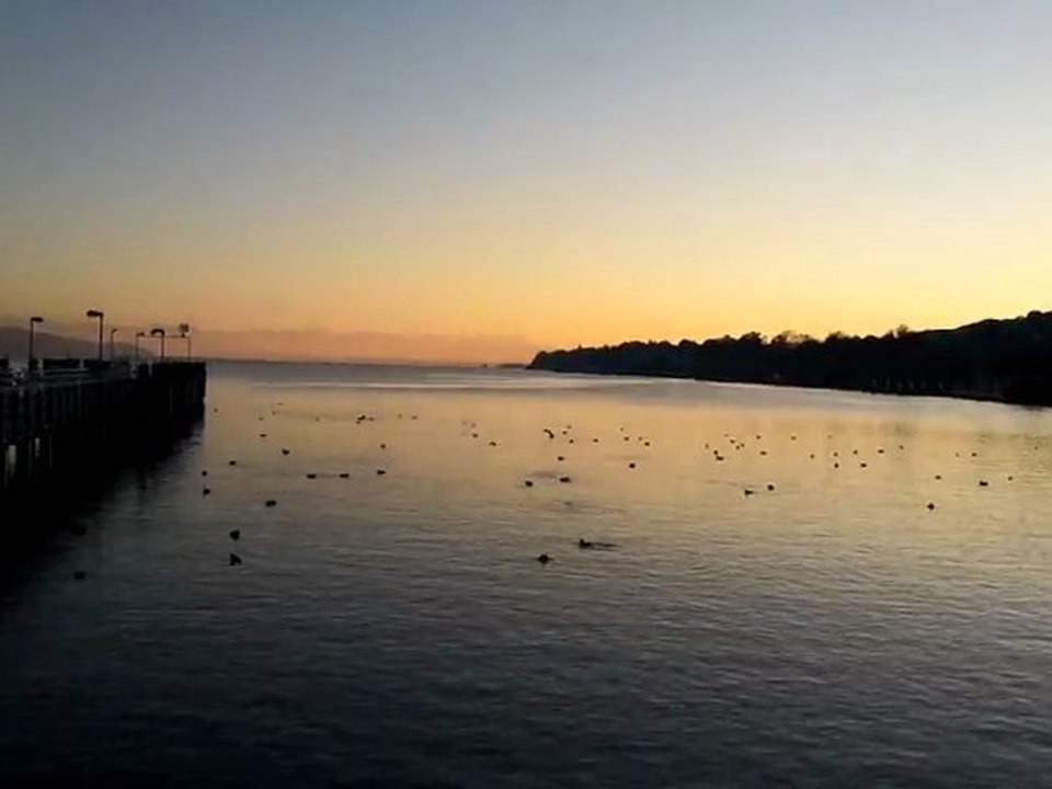 video-2011-11-12-16-21-31