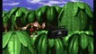 CGRundertow DONKEY KONG COUNTRY for Super Nintendo Video Game Review