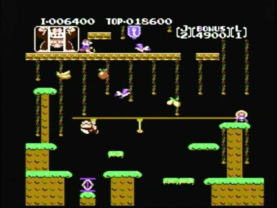 CGRundertow DONKEY KONG JR. for NES Video Game Review