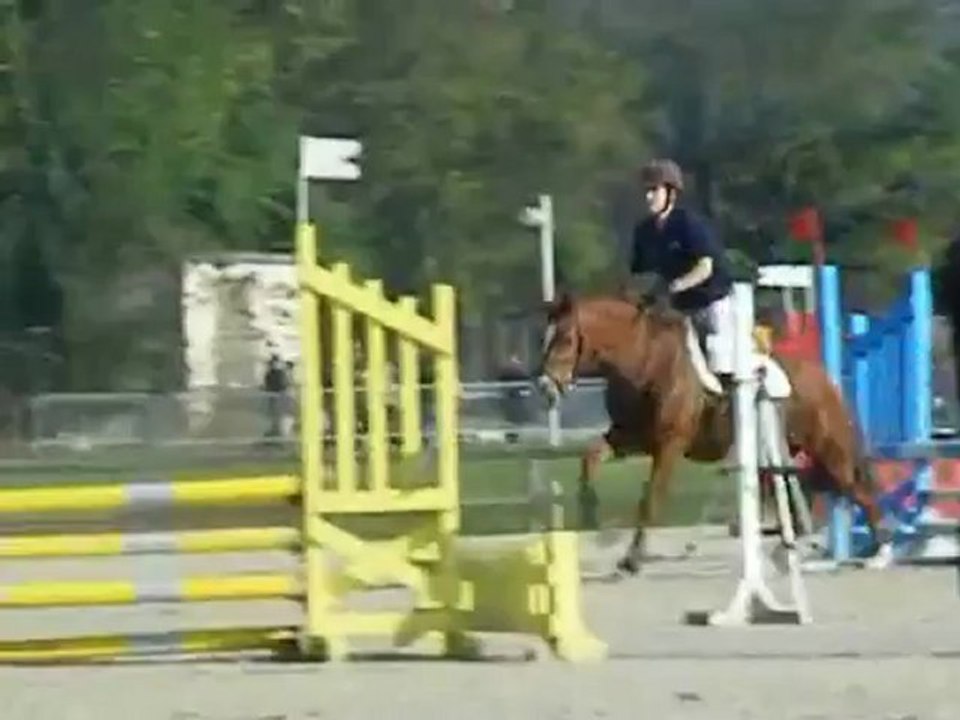 C'était notre histoire - Elvira.