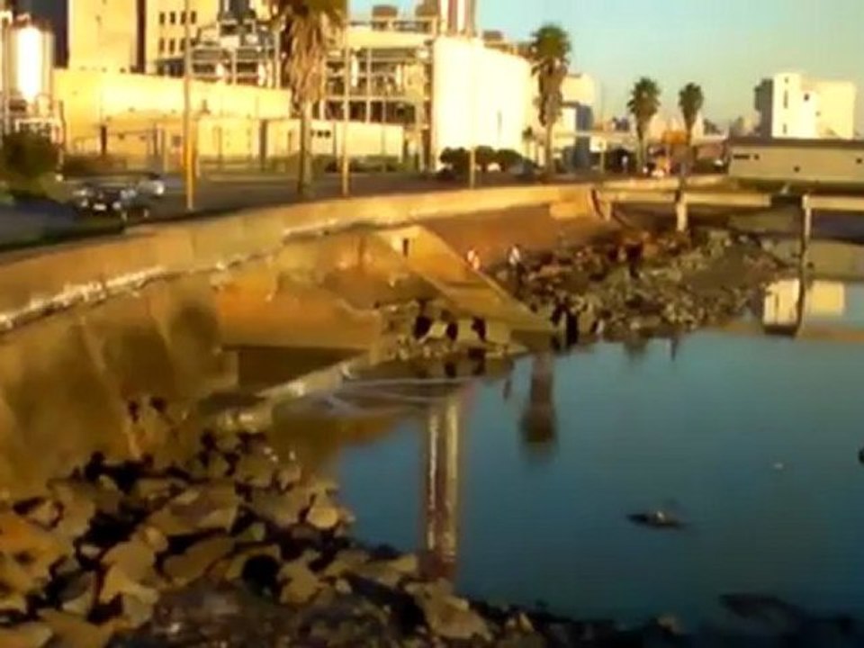 Contaminando_Uruguay_y_sus_playas - julio 2012