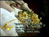 Seçil - Unutursun Gönlüm