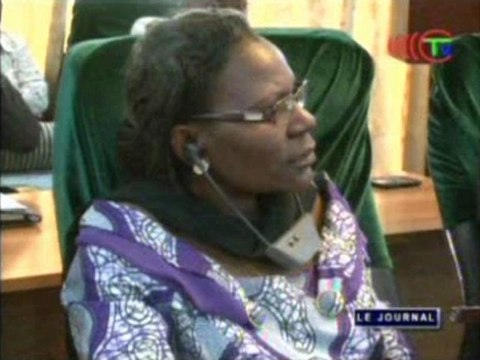 L’ONUDI soutient la promotion des investissements en république du Congo