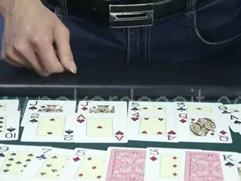 Leather Belt-Scanning-Camera