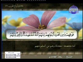سورة المائدة- سعد الغامدي Surah Al-Maeda Al-Ghamdy
