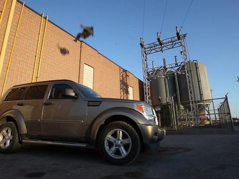 Bande démo d'un cascadeur