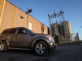 Bande démo d'un cascadeur