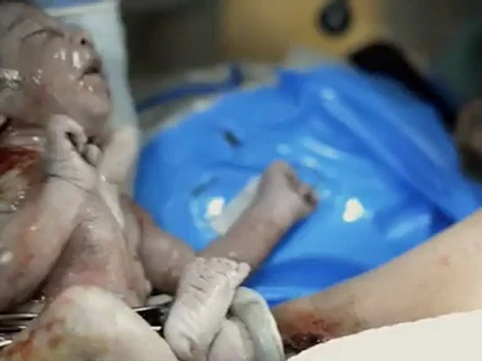 Nikon D800 36.3 MP CMOS FX-Format Digital SLR Camera