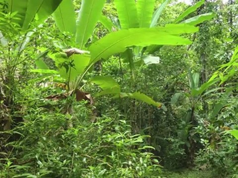 Diaporama Malaisie - Perhentian Island - juin 2012