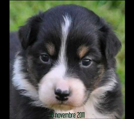 Gipsy Queen : my life