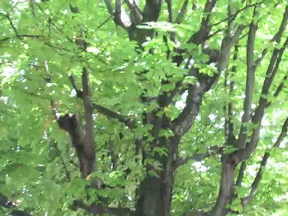 Paris - Canal St Martin 2012