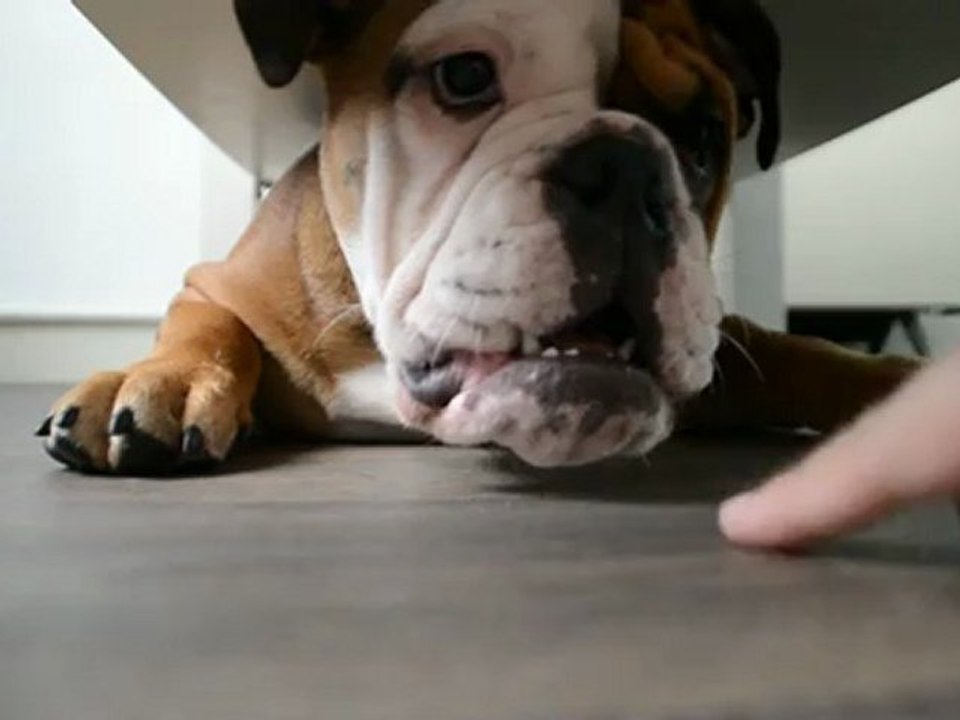 June et les vilains doigts !