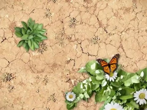 Future Ford of Sacramento 2012 Ford Fusion Hybrid in Sacramento