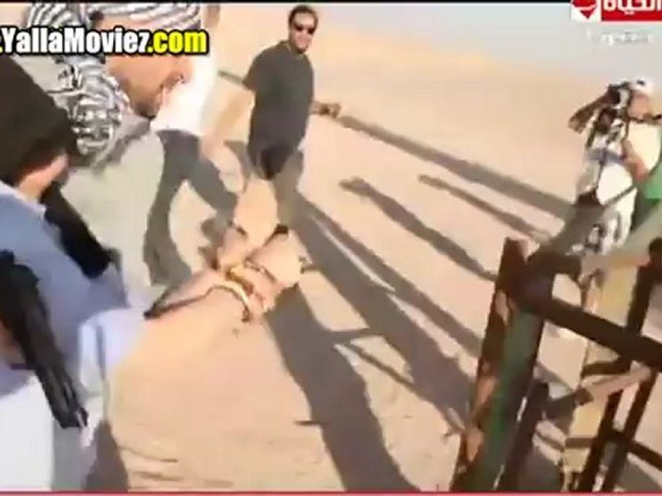 رامز ثعلب الصحراء الحلقة 16 روجينا | يلا موفيز...