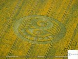 crops circles  AIDP