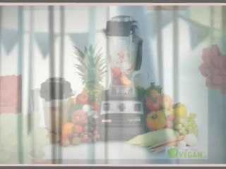 vitamix 5200c