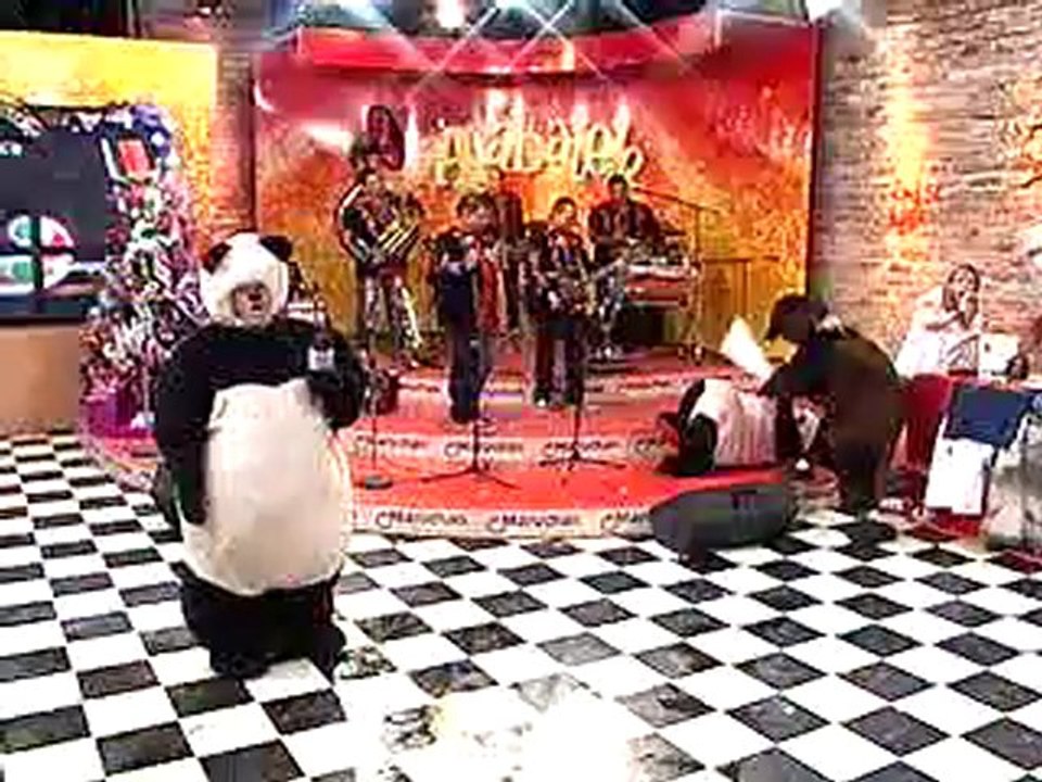 Los Pandas  se pelean
