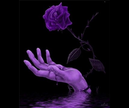 SONU YOK BU AŞKIN,,,YÜREĞİM SIZLAR HER AKŞAM GEL FUNDA ARAR,