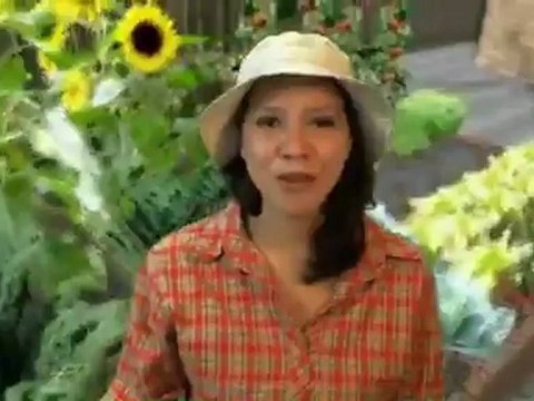 De-icer Floating Pond Deicer Review