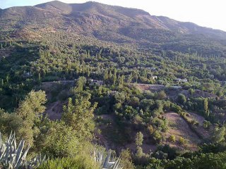 منوعات للزواقي2