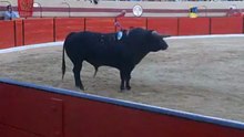 IGOR RABITA DOS AMADORES DA CHAMUSCA PEGA TOIRO DE BRITO PAES EM ABIUL
