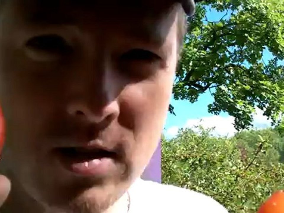 Tomato Throwing - Michigan Renaissance Festival games. Independent business.