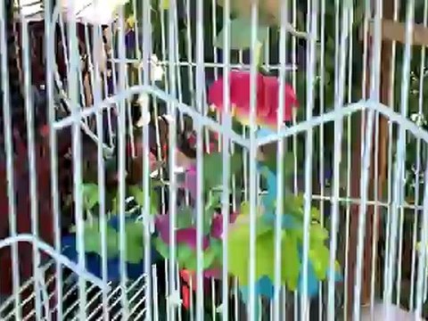 Unique Gifts - Hand made Fairies from the Michigan Renaissance Festival. Holly, Michigan. Independent business.