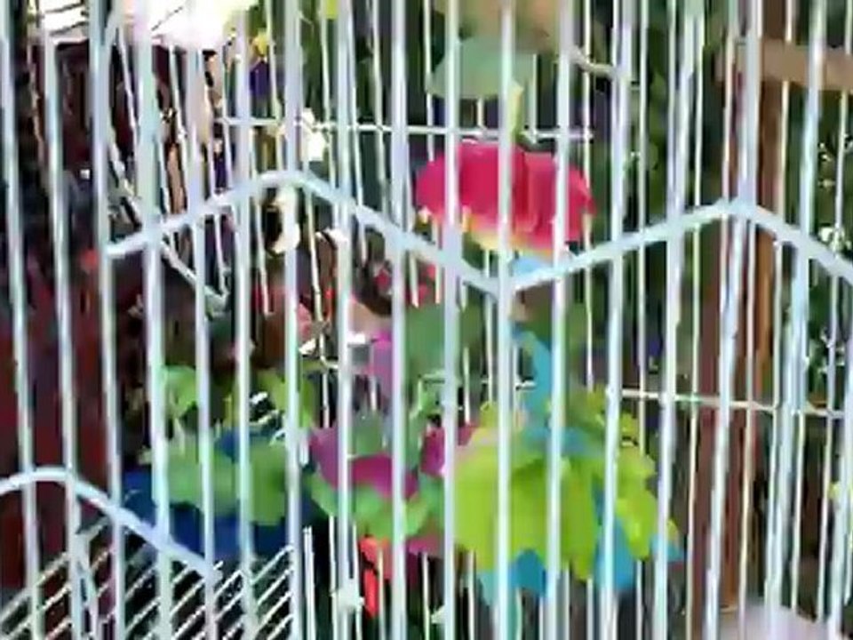 Unique Gifts - Hand made Fairies from the Michigan Renaissance Festival. Holly, Michigan. Independent business.