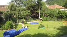 4.8.2012 : échauffement pour l'agility dans le jardin