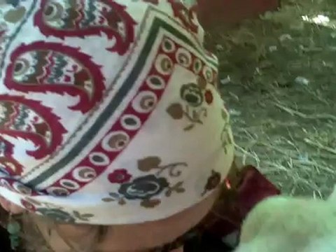 Sarah Pets A Beautiful Lamb, Holly, Michigan