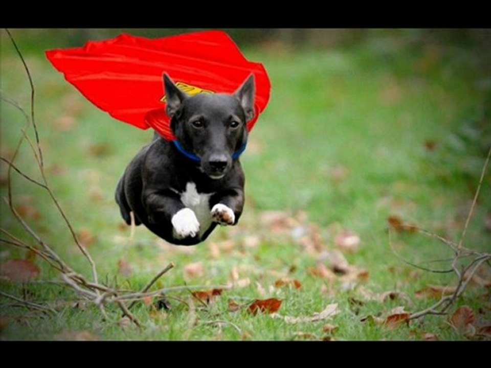 Sony BRAVIA EX 400 Series 32 inch Best Sale Black Friday