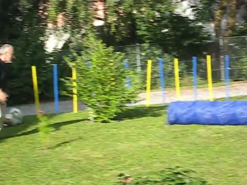 4.8.2012 : parcours agility à grande vitesse ... comme aux JO