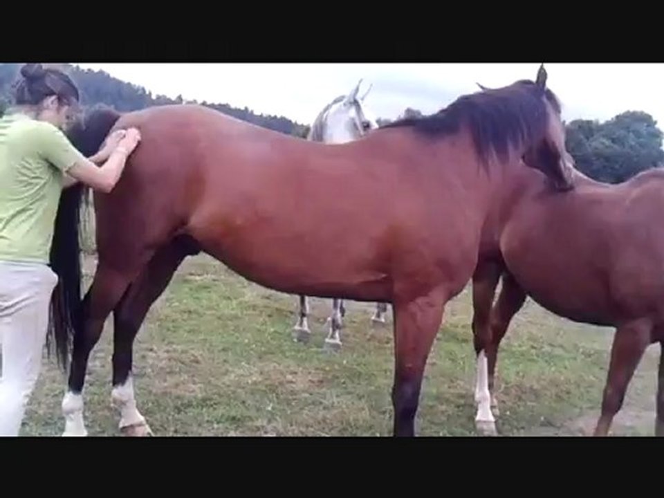 Réveil