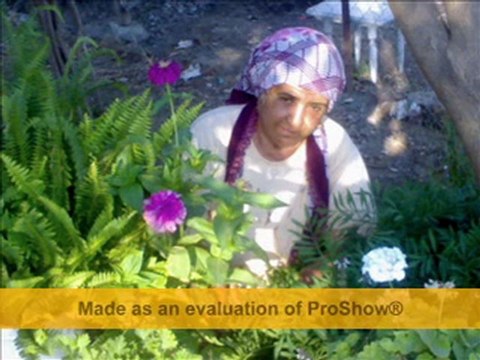 HACI AYATA KAN ÇİÇEKLERİ