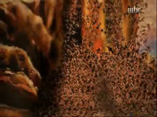 تسجيل حصري لبرنامج عمر صانع حضارة ل 17 رمضان 2012