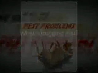 Exterminator Tampa |   888-384-8095