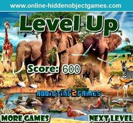 Safari Animals Lost Objects Walkthrough