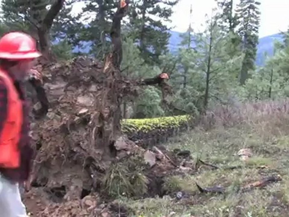 Logging in the 21st Century