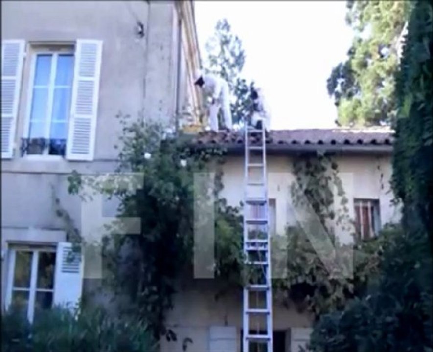 Les abeilles - été 2012