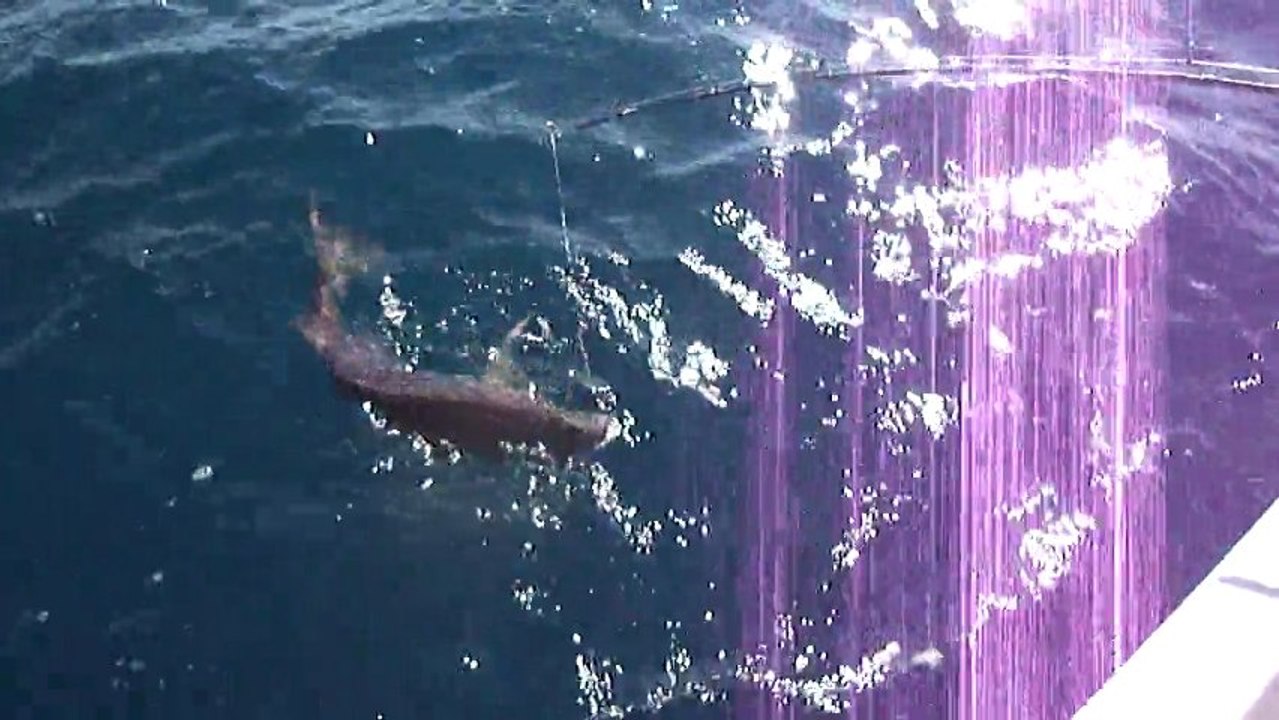 ANTALYA ADRASAN BALIK AVI TURUNDA JİGGİNG YÖNTEMİ İLE 4,5 KG SİNARİT AVI - www.adrasanbalik.com