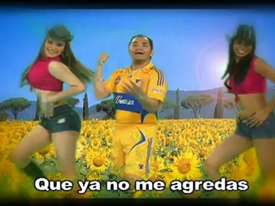 Chavana Chulo (videogol)
