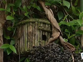 Comment faire des nichoirs ou mangeoirs ?