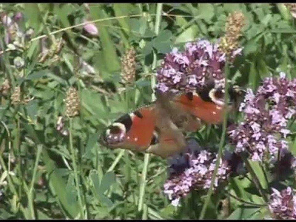 Boucle de randonnée "Au grès de la Juine"