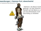 Bizeps Übungen, Hammer-Curl abwechselnd