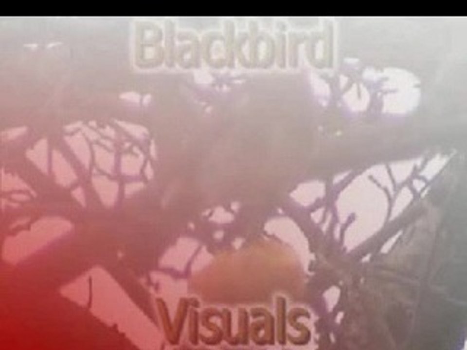 28/29.10. Hannover/EXPO