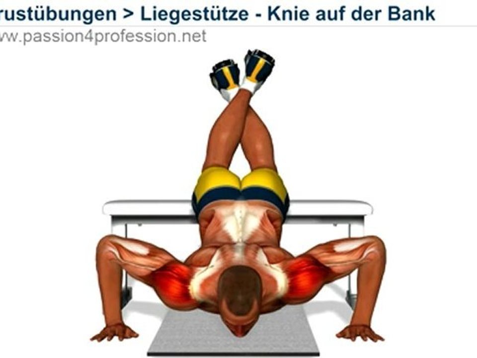 Liegestütze - Knie auf der Bank