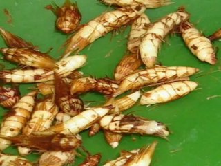 Wild Mashed Potato Substitute